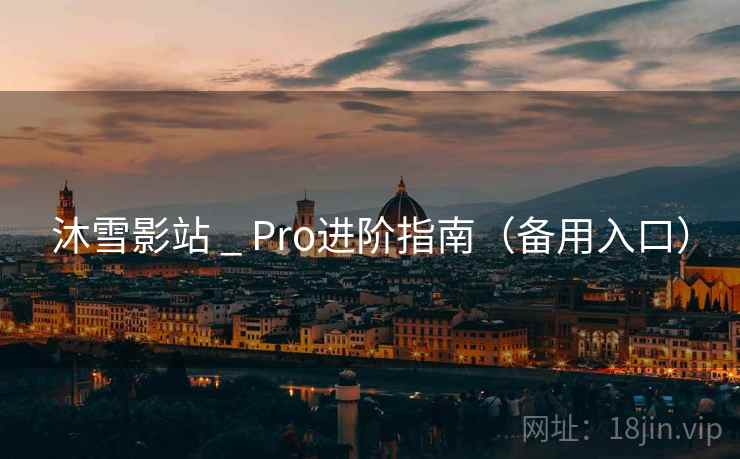 沐雪影站 _ Pro进阶指南（备用入口）