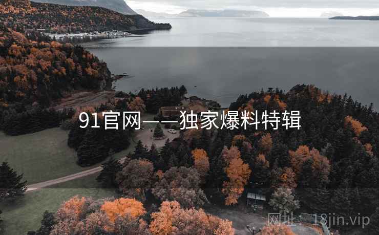 91官网——独家爆料特辑 91官网——独家爆料特辑