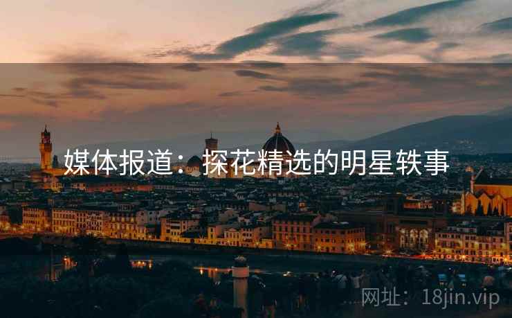 媒体报道:探花精选的明星轶事